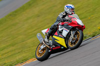 PJ-Motorsport-2019;anglesey-no-limits-trackday;anglesey-photographs;anglesey-trackday-photographs;enduro-digital-images;event-digital-images;eventdigitalimages;no-limits-trackdays;peter-wileman-photography;racing-digital-images;trac-mon;trackday-digital-images;trackday-photos;ty-croes